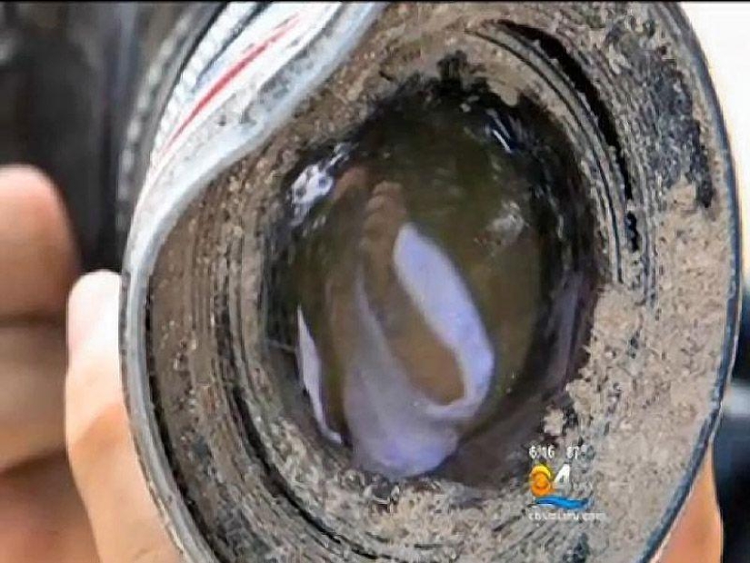 Camera eaten by alligator returned to owner after 8 months Camera eaten by alligator returned to owner after 8 months