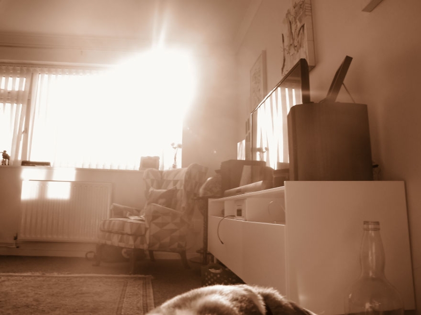 Caminando debajo de la mesa: la historia de un padre sobre cómo su bebé de 1,5 años aprendió a tomar fotos geniales Caminando debajo de la mesa: la historia de un padre sobre cómo su bebé de 1,5 años aprendió a tomar fotos geniales