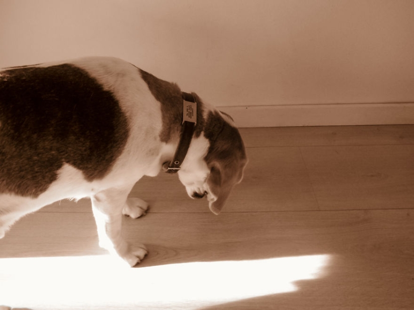 Caminando debajo de la mesa: la historia de un padre sobre cómo su bebé de 1,5 años aprendió a tomar fotos geniales Caminando debajo de la mesa: la historia de un padre sobre cómo su bebé de 1,5 años aprendió a tomar fotos geniales