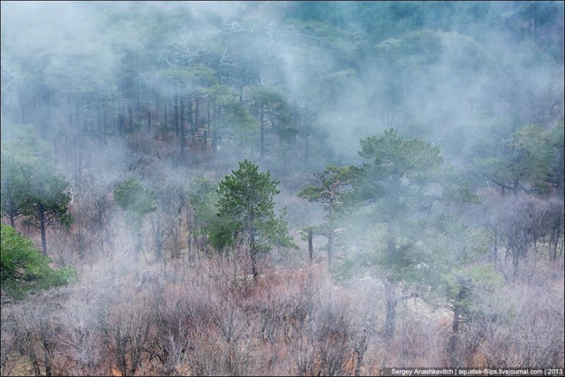 Caminar bajo las nubes. Meseta de Ai-Petri en Crimea Caminar bajo las nubes. Meseta de Ai-Petri en Crimea