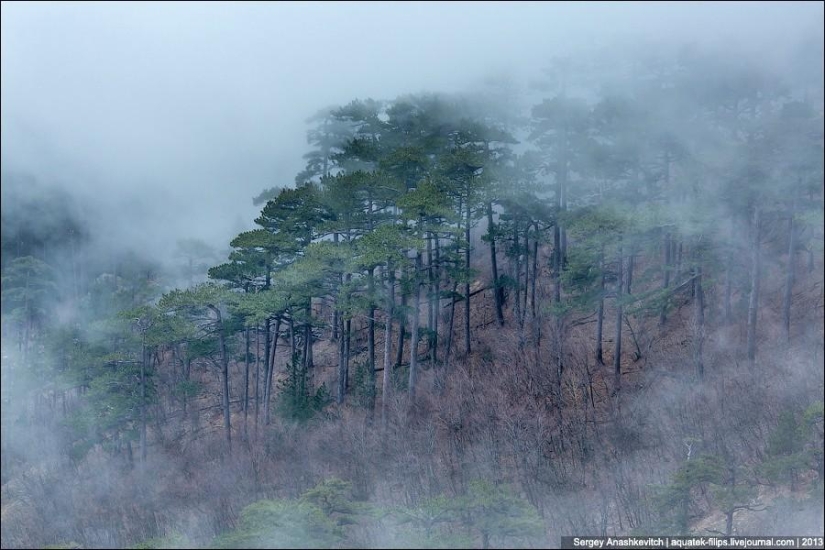 Caminar bajo las nubes. Meseta de Ai-Petri en Crimea Caminar bajo las nubes. Meseta de Ai-Petri en Crimea