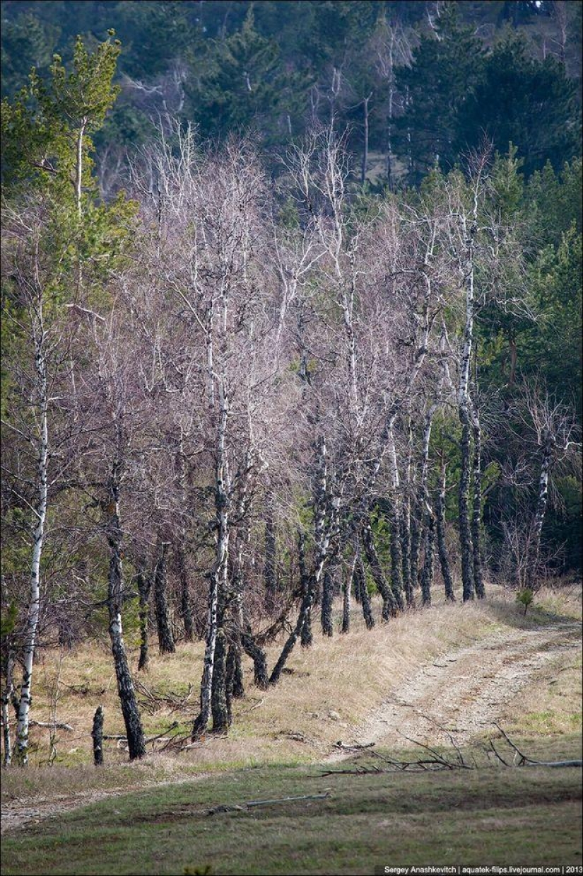 Caminar bajo las nubes. Meseta de Ai-Petri en Crimea Caminar bajo las nubes. Meseta de Ai-Petri en Crimea