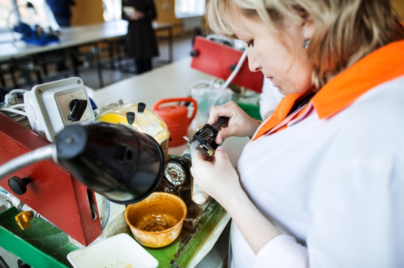 camino ámbar camino ámbar