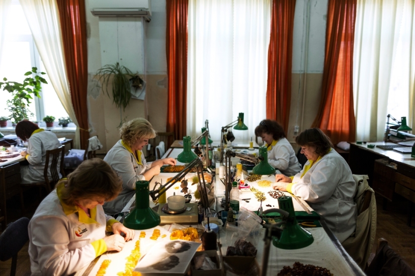 camino ámbar camino ámbar