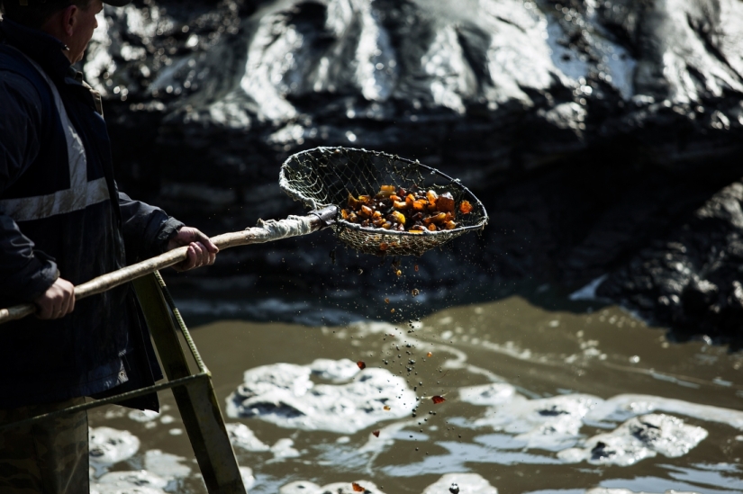 camino ámbar camino ámbar