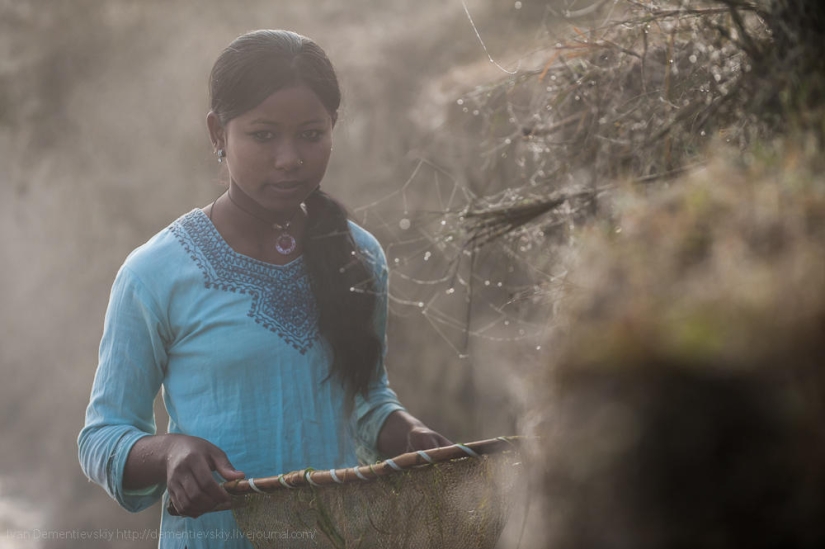 Características de la pesca nacional. Características de la pesca nacional.