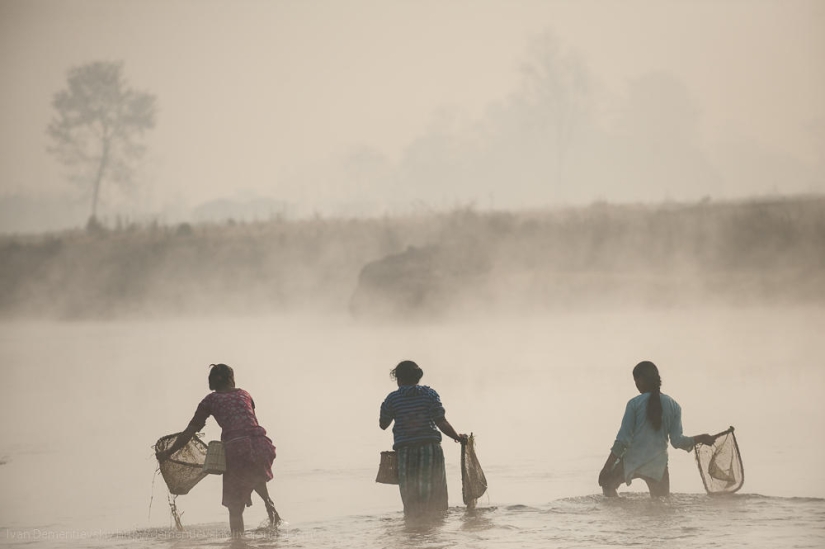 Características de la pesca nacional. Características de la pesca nacional.