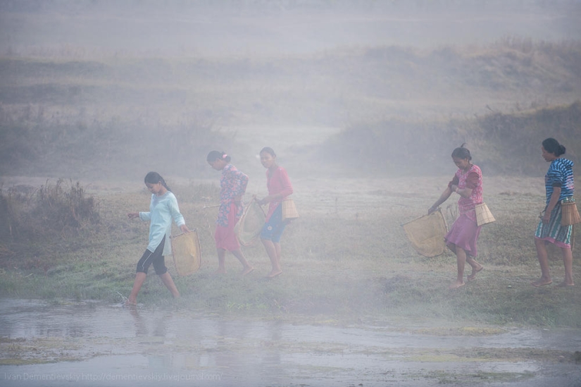 Características de la pesca nacional. Características de la pesca nacional.