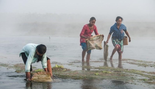 Características de la pesca nacional. Características de la pesca nacional.