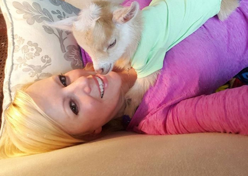 Careerist quit hard work to raise orphaned goats