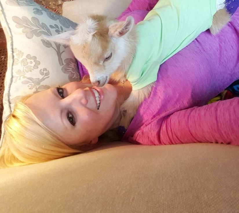 Careerist quit hard work to raise orphaned goats