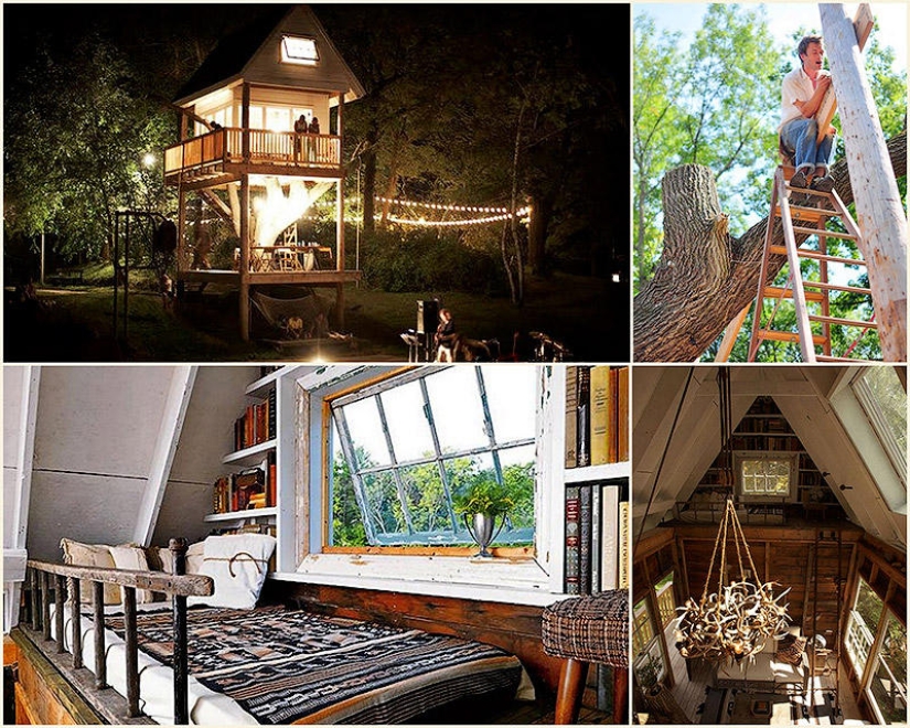 Casa del árbol para adultos