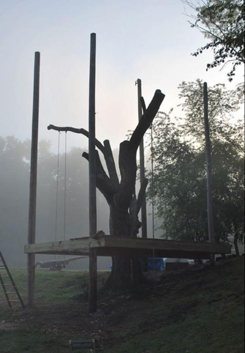 Casa del árbol para adultos