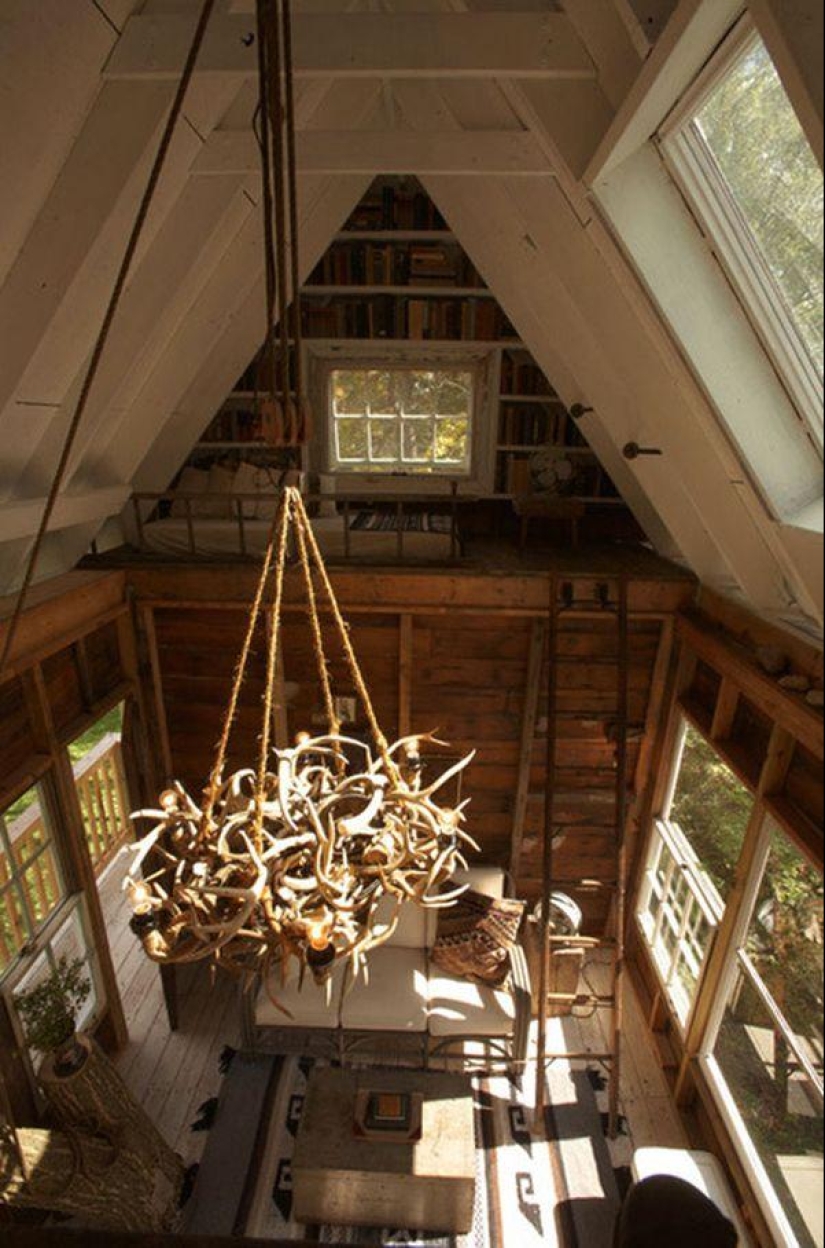 Casa del árbol para adultos