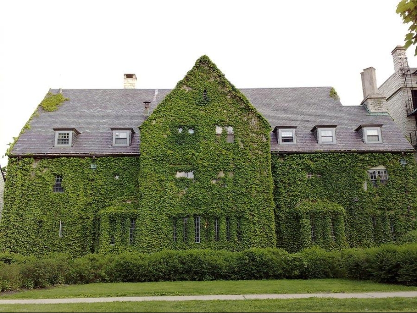 casas verdes casas verdes