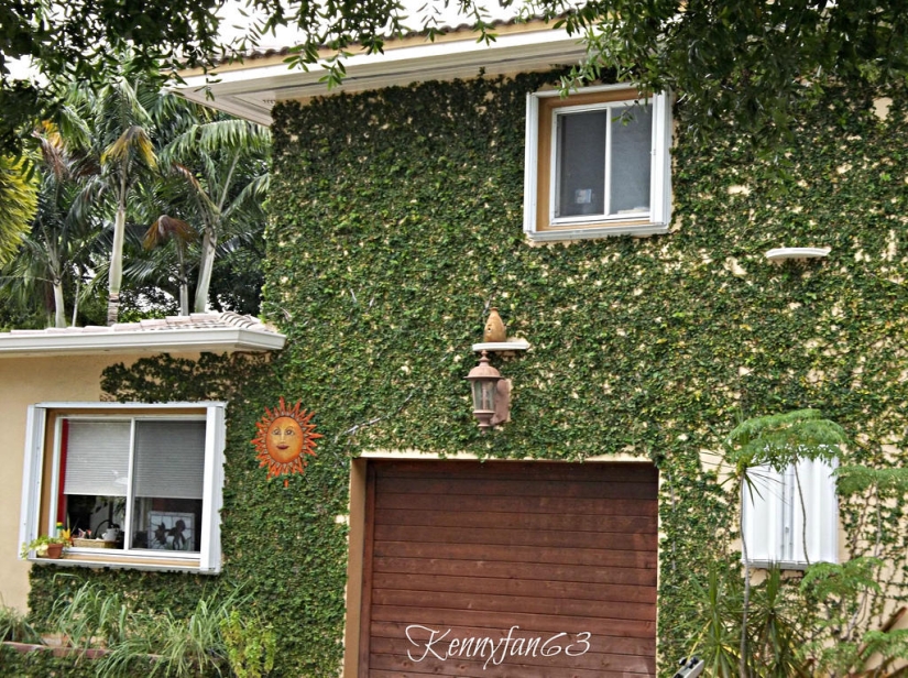 casas verdes casas verdes