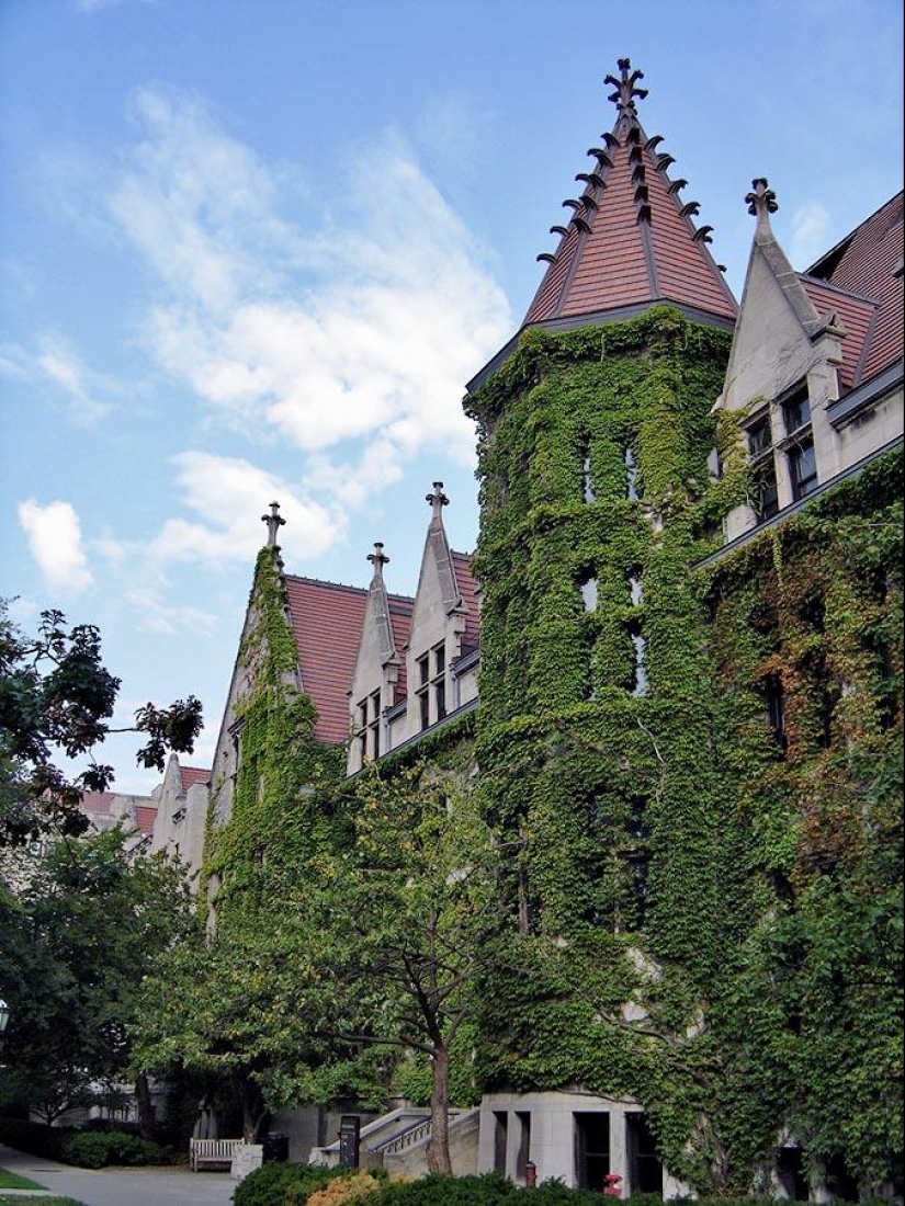 casas verdes casas verdes