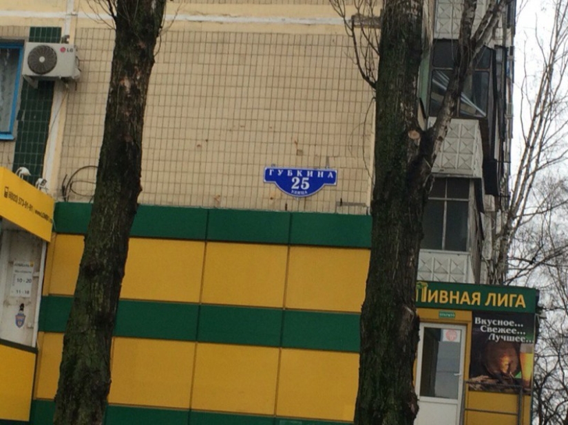 Cat "Hachiko" appeared in Belgorod, who has been waiting for his owner for a whole year