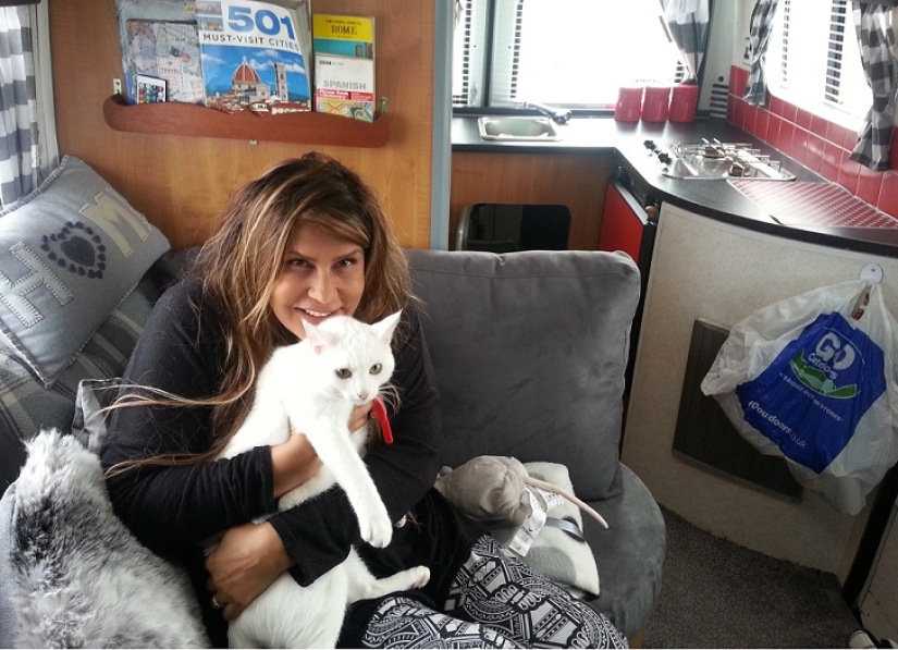 Cat traveling with its owners