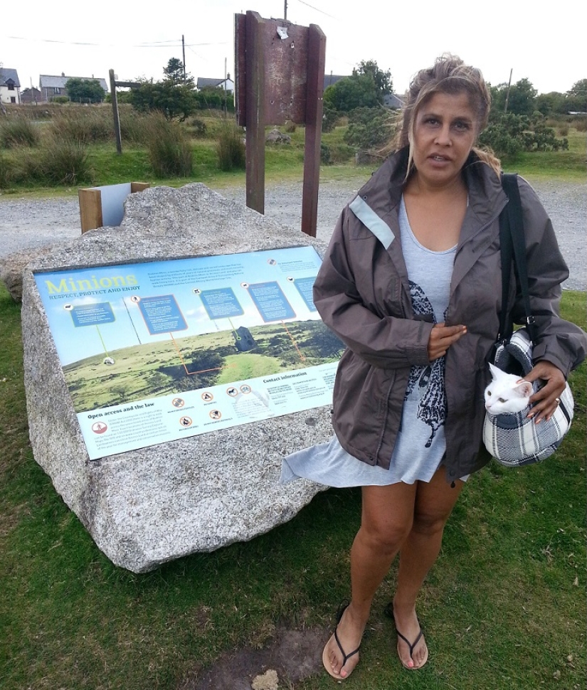 Cat traveling with its owners