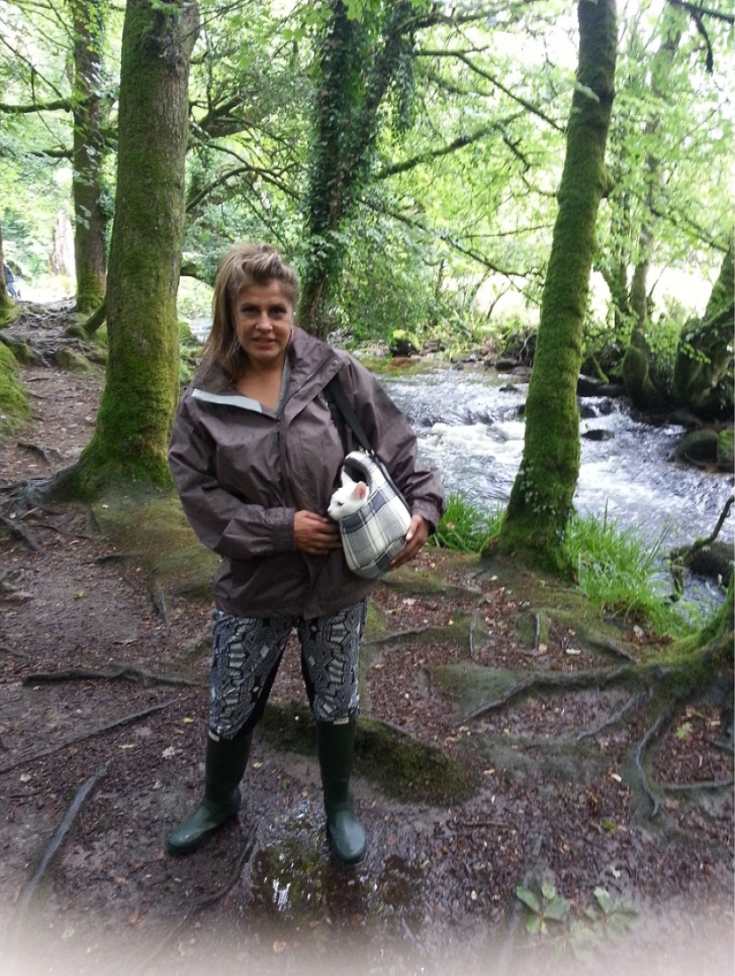 Cat traveling with its owners