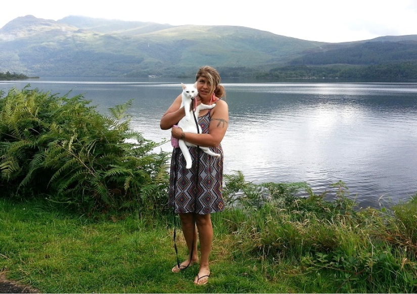 Cat traveling with its owners