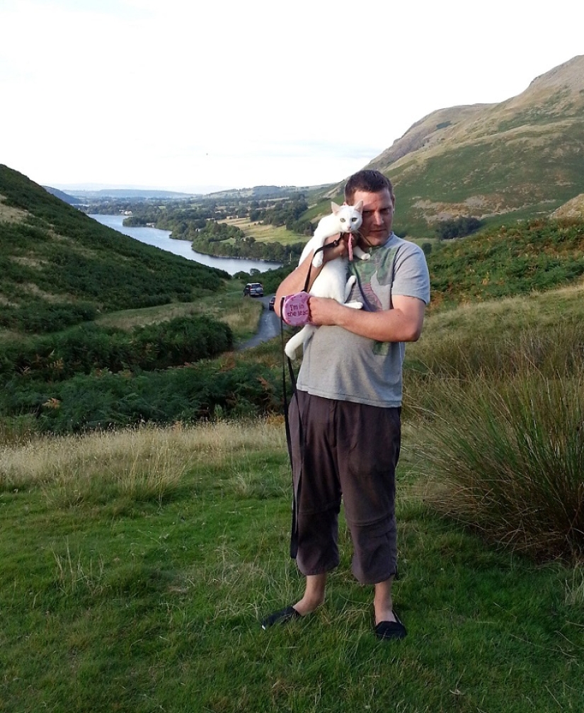 Cat traveling with its owners