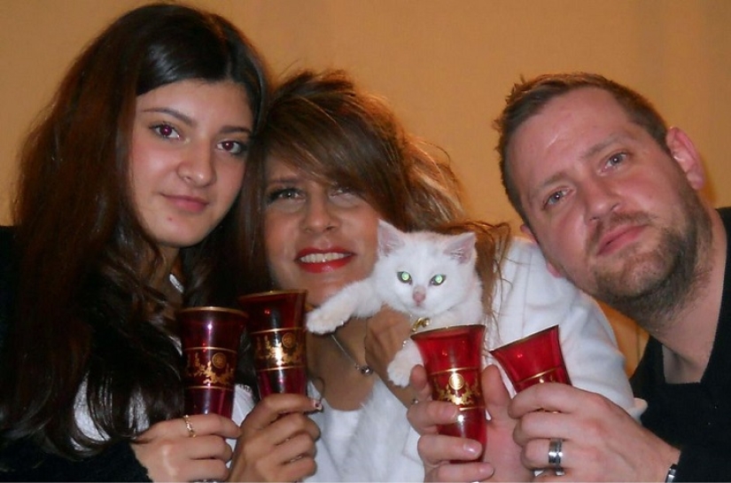 Cat traveling with its owners