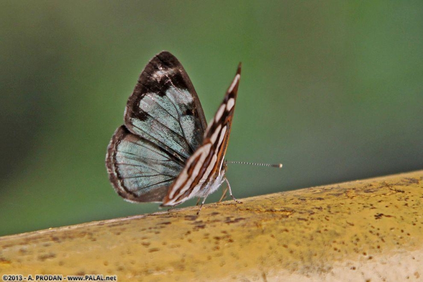 Cataratas del Iguazú