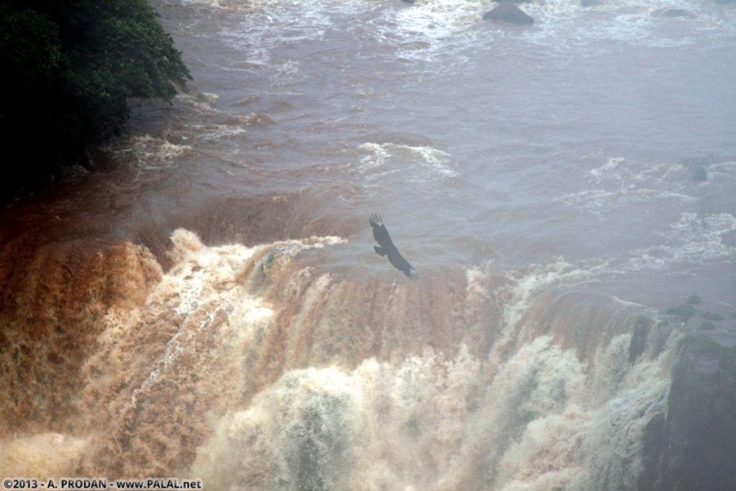 Cataratas del Iguazú