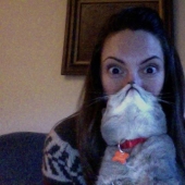 Catbeards - another photomem