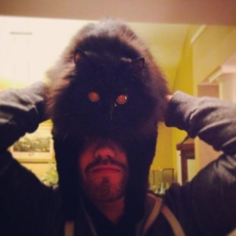 catman mania catman mania