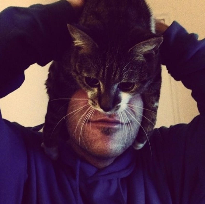 catman mania catman mania