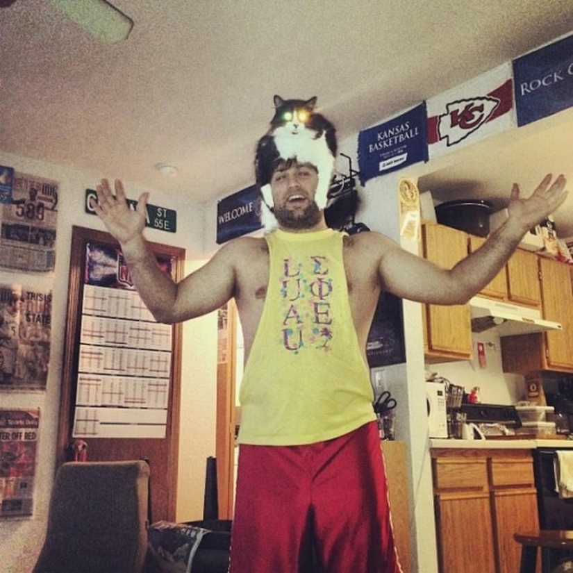 catman mania catman mania