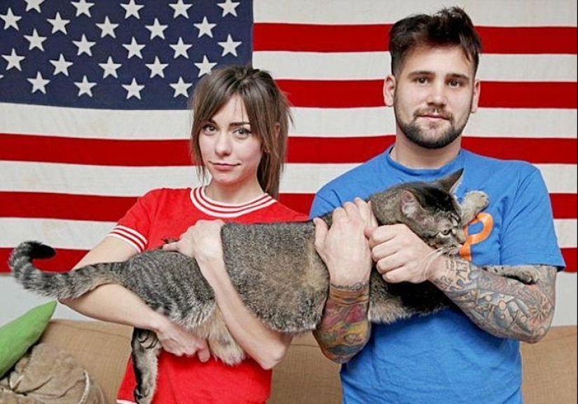 Catosaurus Rex: un gato gigante ha encontrado nuevos dueños Catosaurus Rex: un gato gigante ha encontrado nuevos dueños