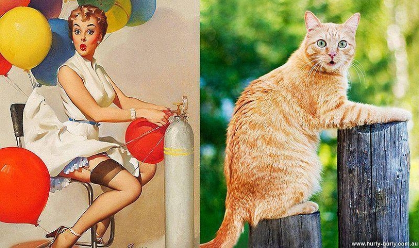 Cats and girls in pinup style