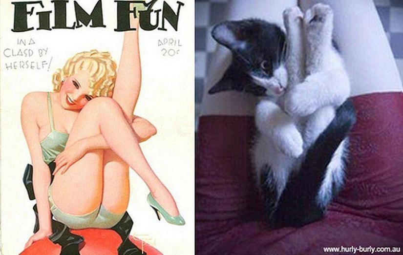 Cats and girls in pinup style