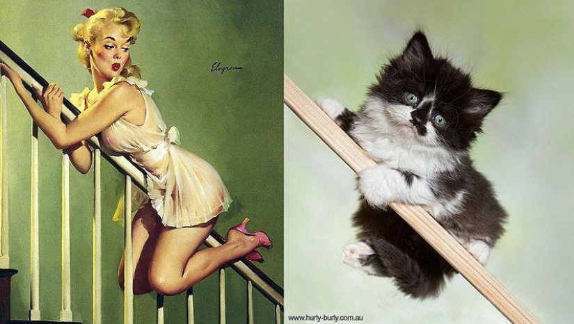 Cats and girls in pinup style
