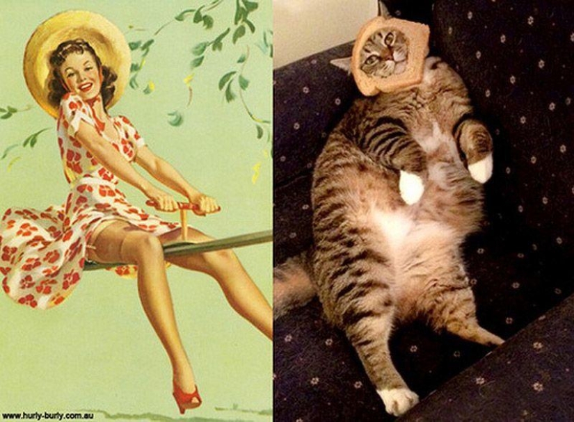 Cats and girls in pinup style