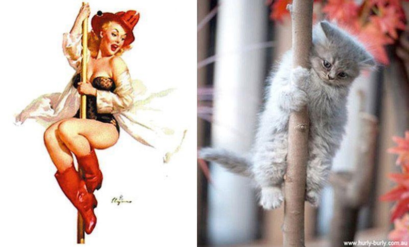 Cats and girls in pinup style