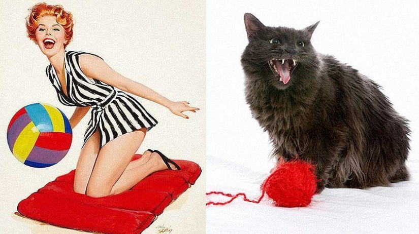 Cats and girls in pinup style