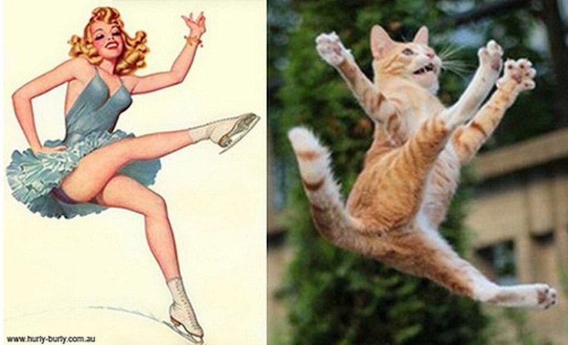 Cats and girls in pinup style