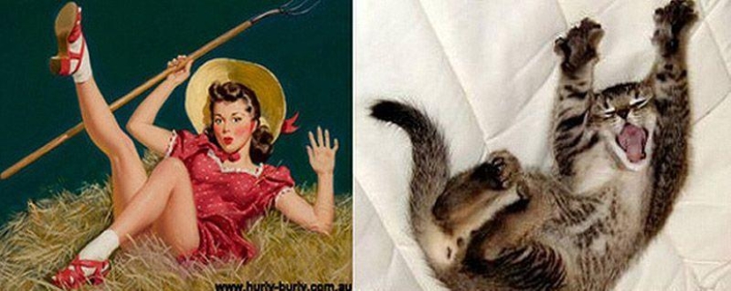 Cats and girls in pinup style