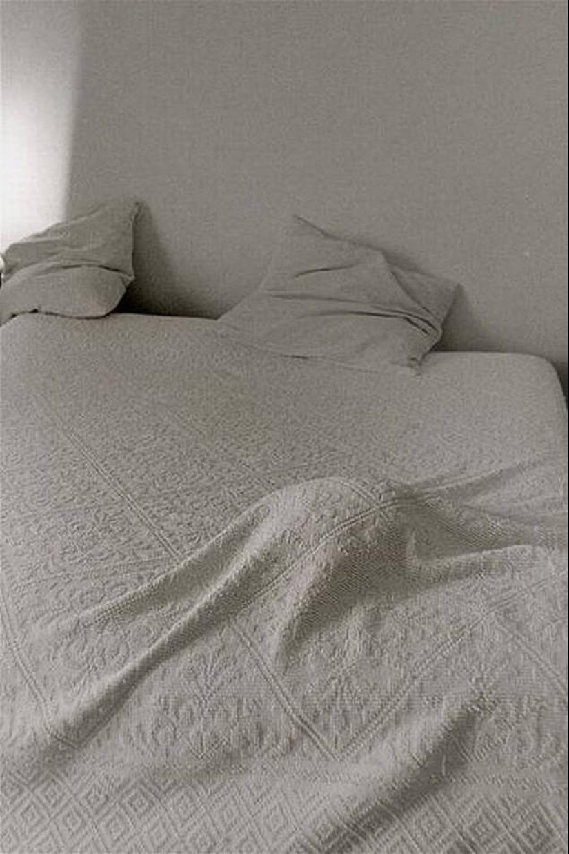 Cats that can't play hide and seek