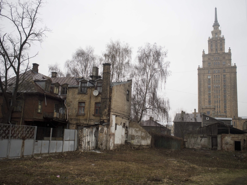 caza de especias caza de especias