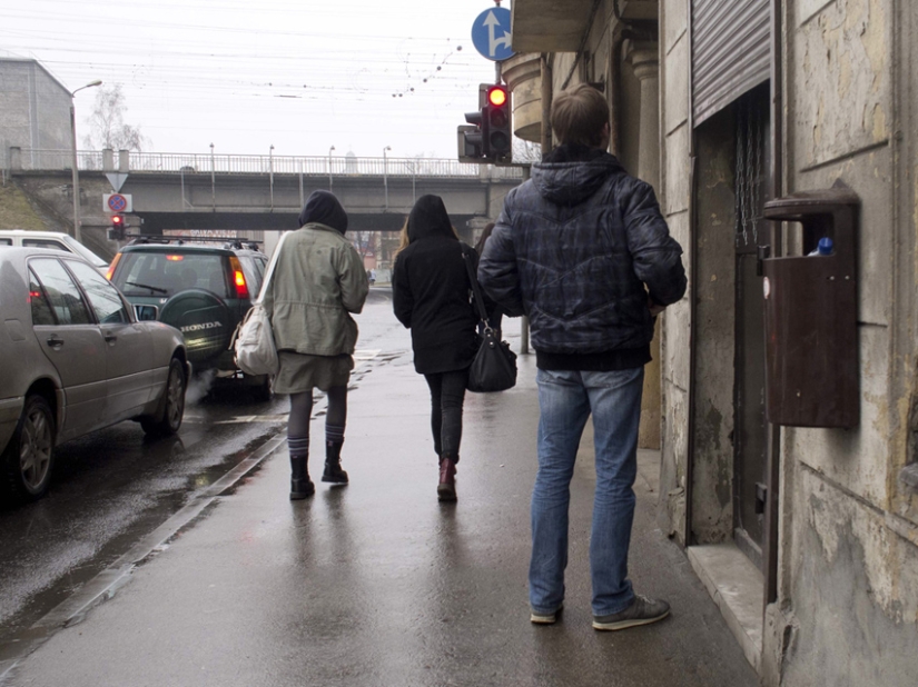 caza de especias caza de especias