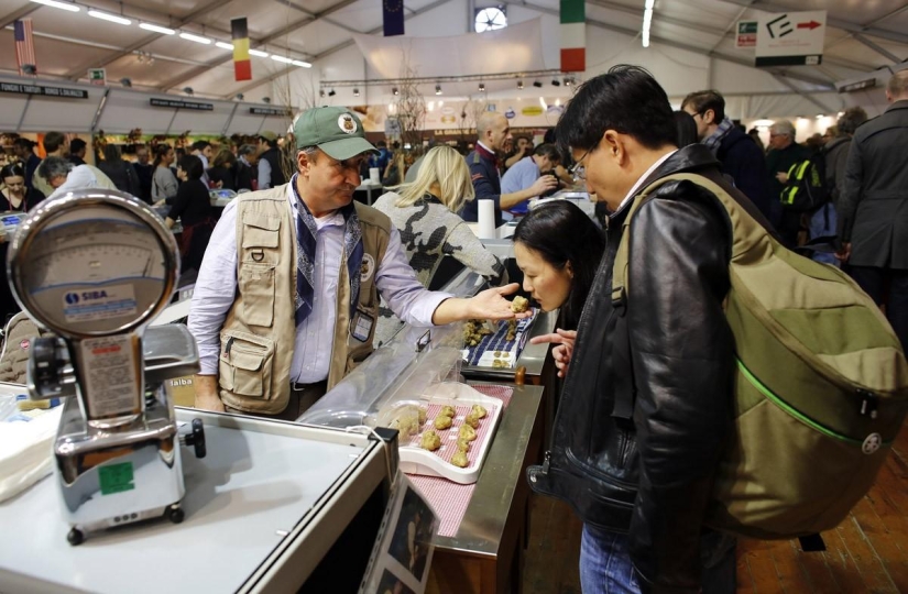 Caza de trufas en Italia Caza de trufas en Italia