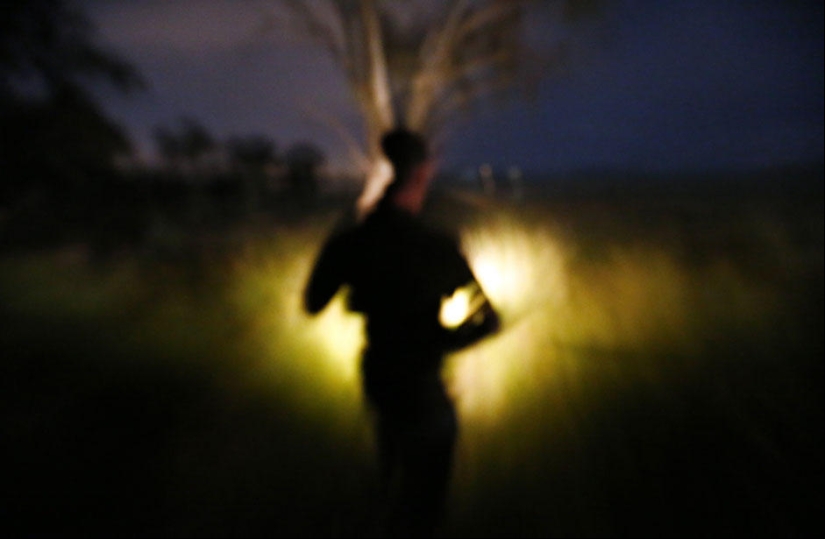 Caza nocturna de canguros en Australia