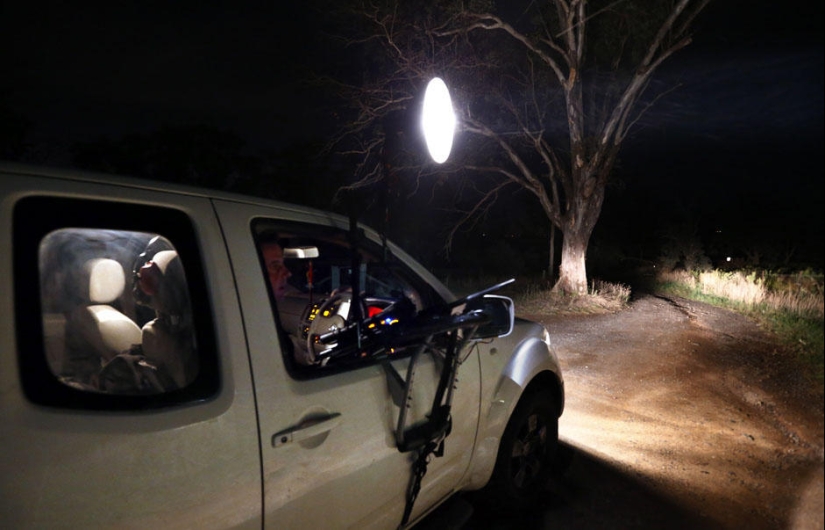 Caza nocturna de canguros en Australia