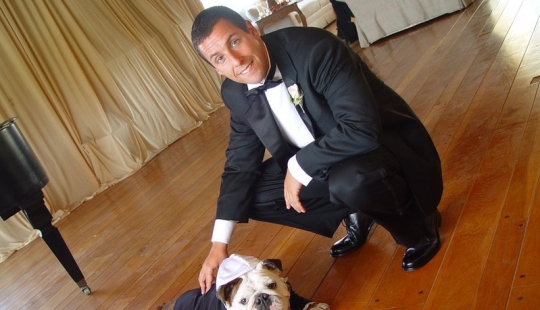 Celebrities obsessed with their pets Celebrities obsessed with their pets